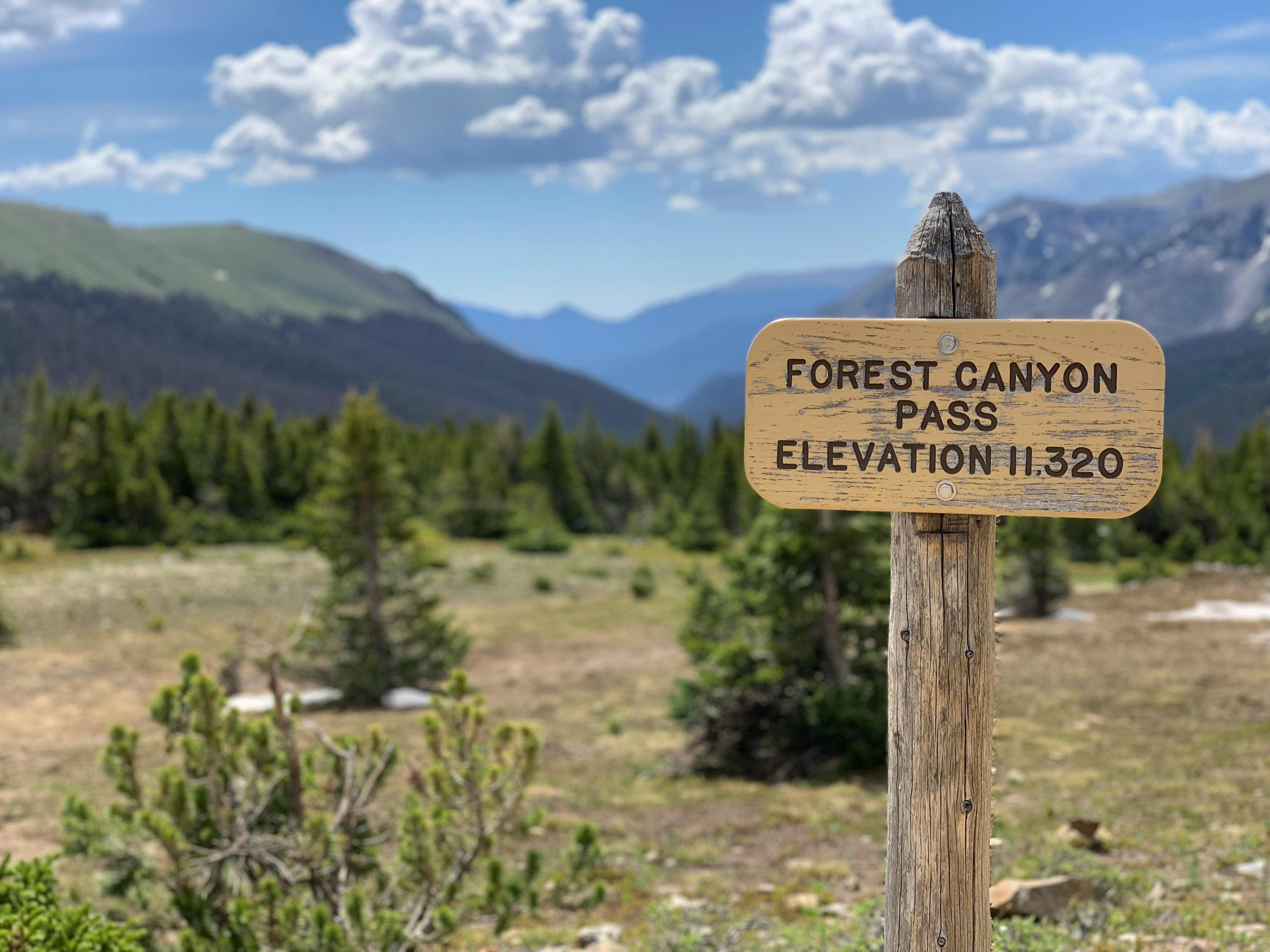 685a752cc81851750758700.jpg